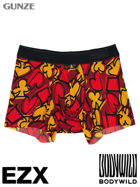 グンゼ BODYWILD EZX 紳士ボクサーパンツ(前とじ) 日本製 ドローイングスート柄